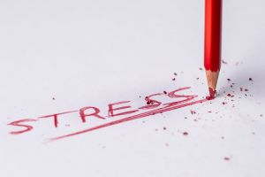 Kos, Bika, Ikrek- Mennyire tűrik jól a stresszt?